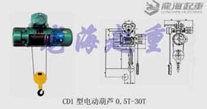 选高质量钢丝绳电动葫芦到龙海